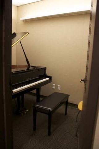The music room with a piano